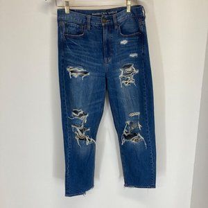 American Eagle 90's boyfriend distressed medium wash jeans 4 short